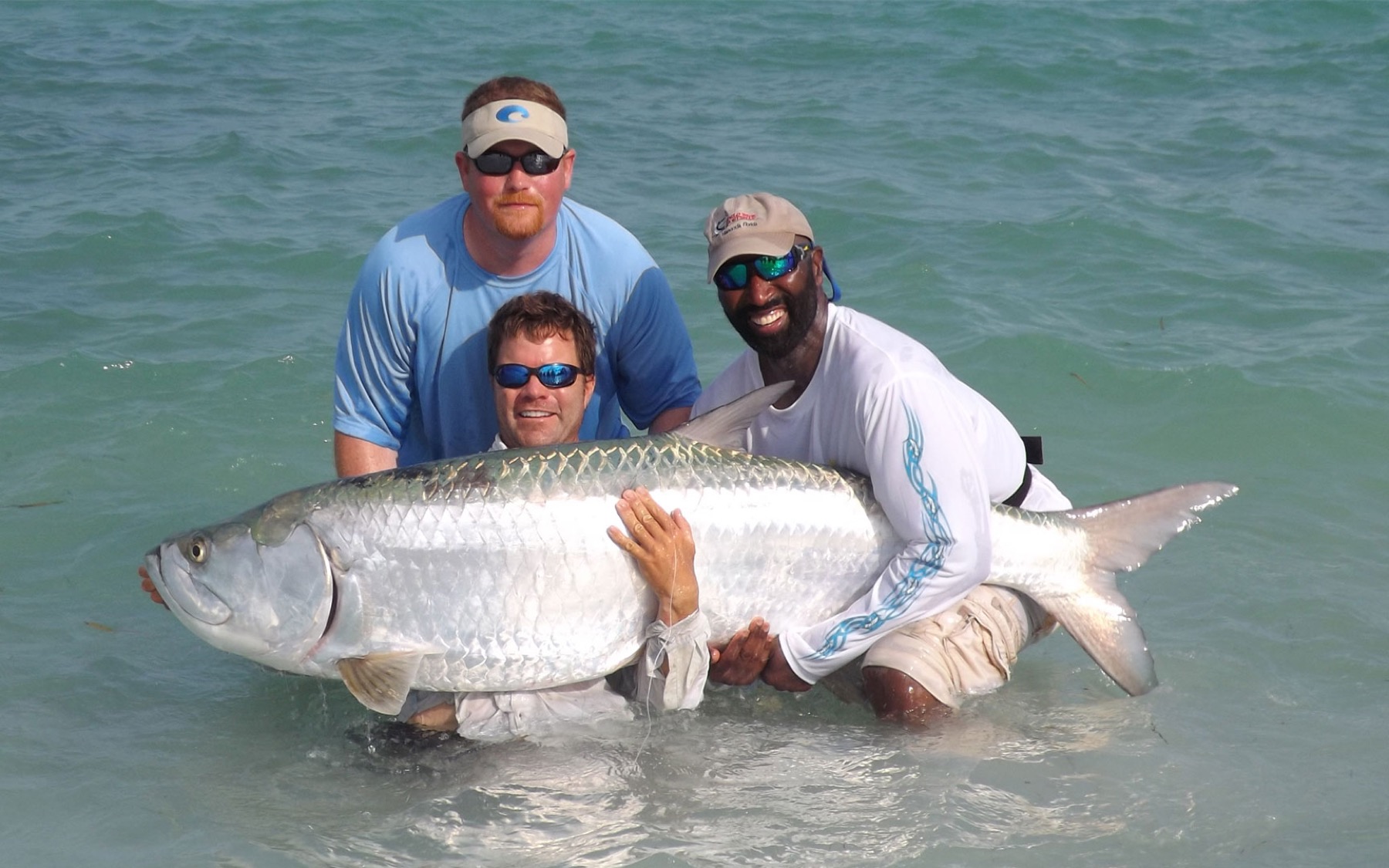 Anglers cradling a large tarpon in the clear water off Anna Maria Island