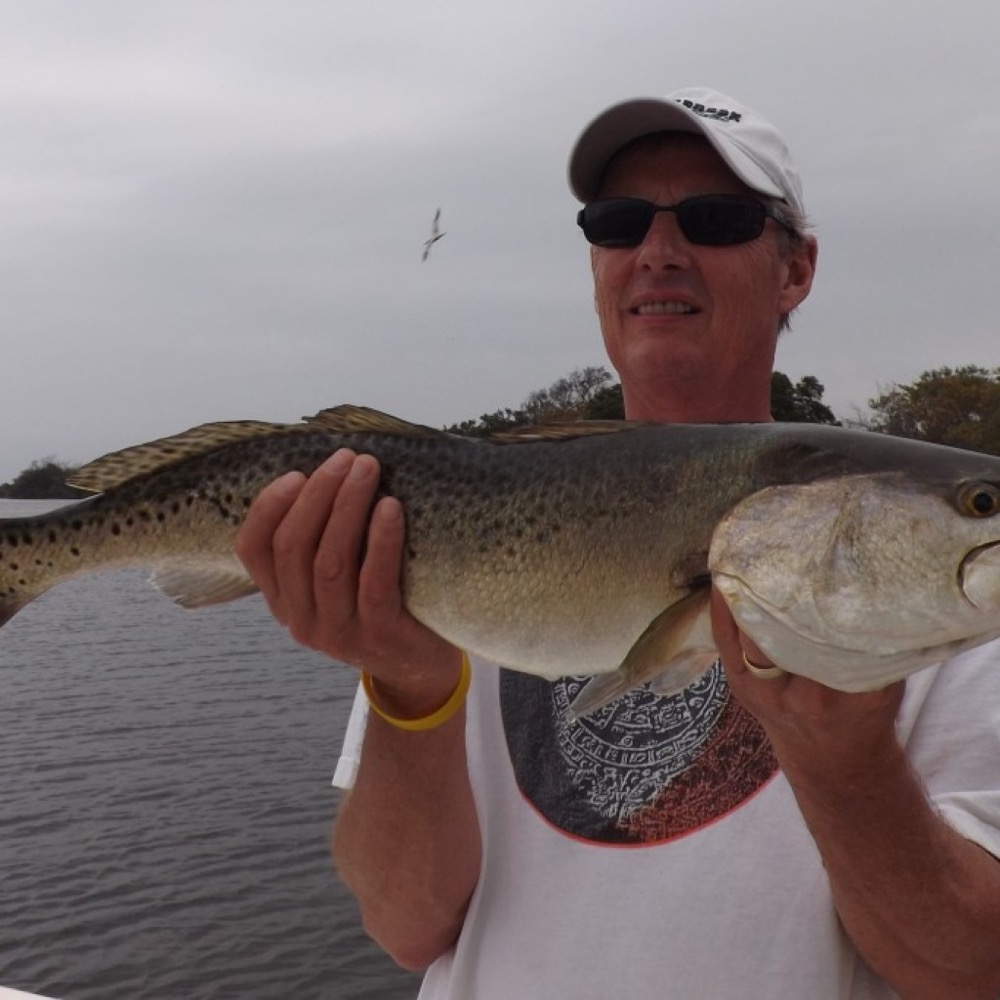 A trophy speckled trout from the grass flats